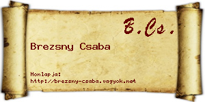 Brezsny Csaba névjegykártya